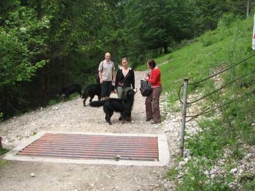 Green, Altea i Pia na Bohinju i Pokljuki 27.5 - foto