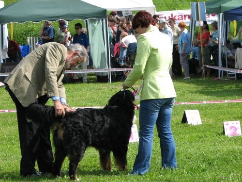 CAC Hrušica 28.5.06. - foto