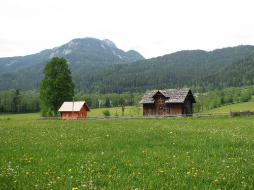 Jezersko 28.5.06. - foto povečava