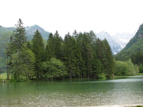 Jezersko 28.5.06. - foto povečava