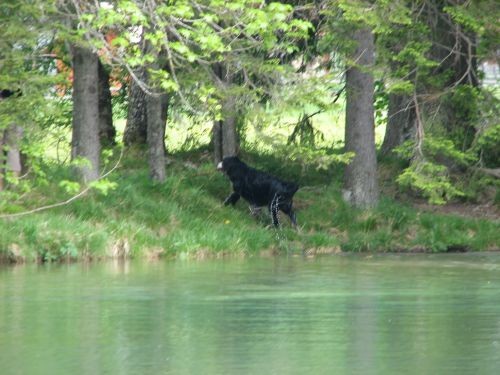 Jezersko 28.5.06. - foto povečava