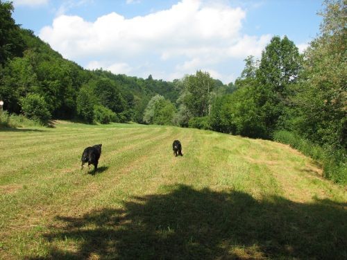 Bela krajna 25.6.06. - foto