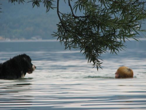 Bohinj 27.7.06. - foto povečava