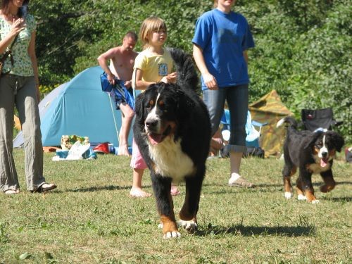 Bela krajna 28, 29 i 30.7.06. - foto