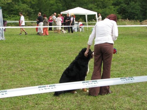 CAC Trbovlje 27.8.06. - foto