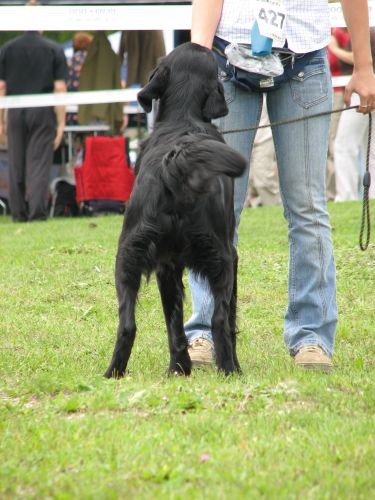 CAC Trbovlje 27.8.06. - foto