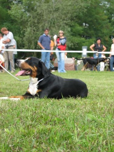 CAC Trbovlje 27.8.06. - foto povečava