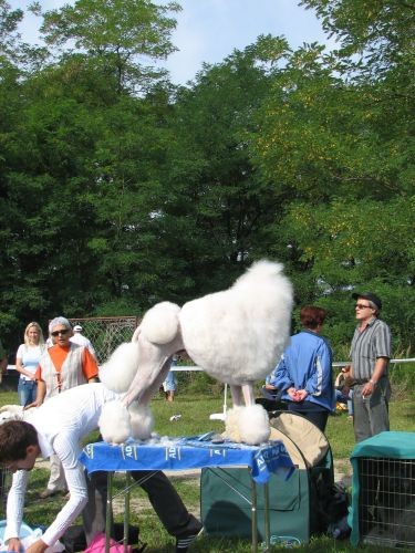 CAC Trbovlje 27.8.06. - foto povečava