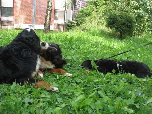 Zara, kyra i zen - foto povečava