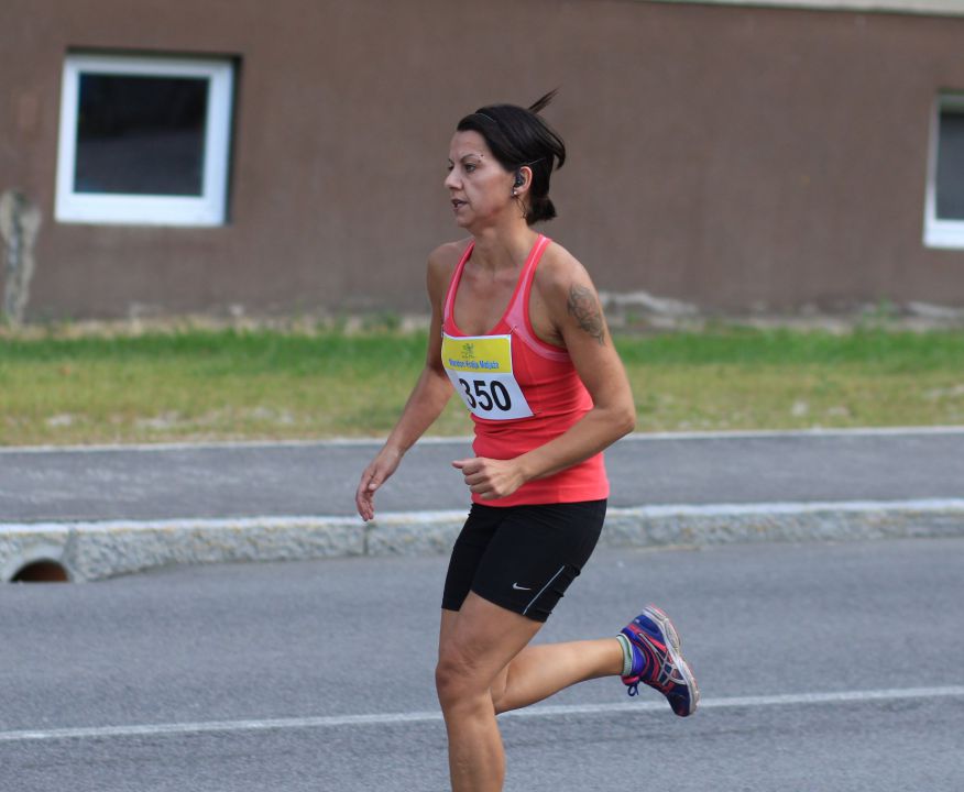 Maraton Kralja Matjaža 2013 - foto povečava