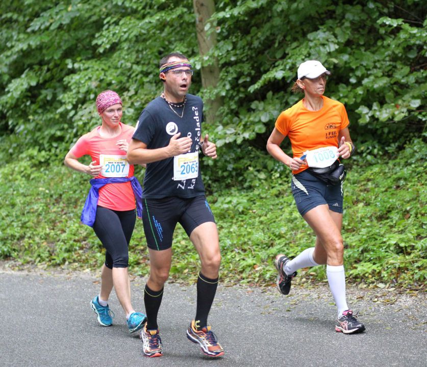 Ultra maraton Logarska 2015 - foto povečava