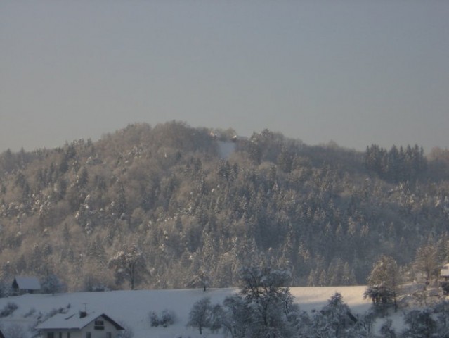 Zavrstnik_winter - foto