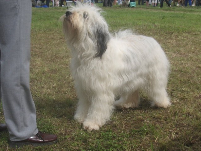 CAC Trbovlje- 2006 - foto