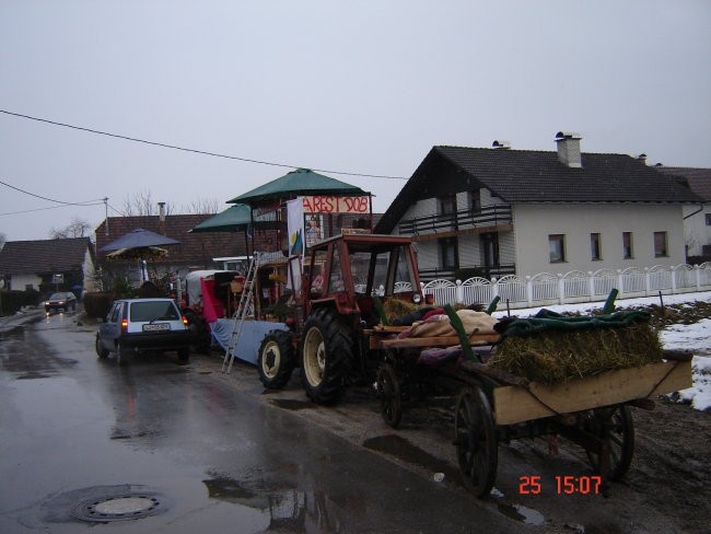 Pust - foto povečava