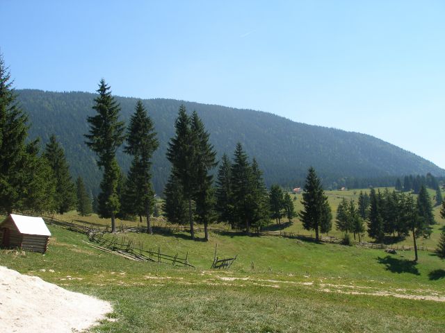 JANJA IN NJENE SLIKE - foto