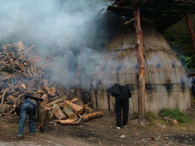 Fotosafari Travnik 2010 - foto