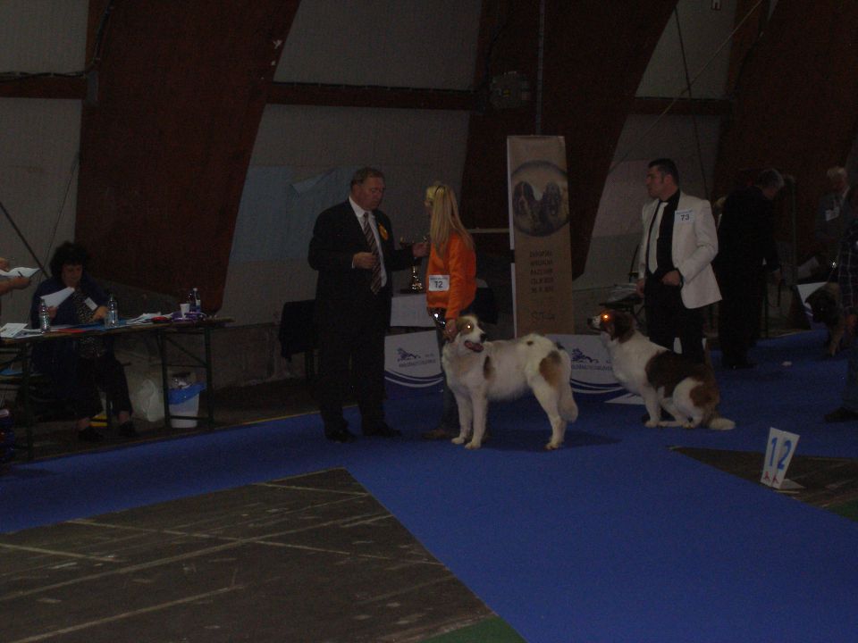 Eurodog Show 2010 Celje - foto povečava