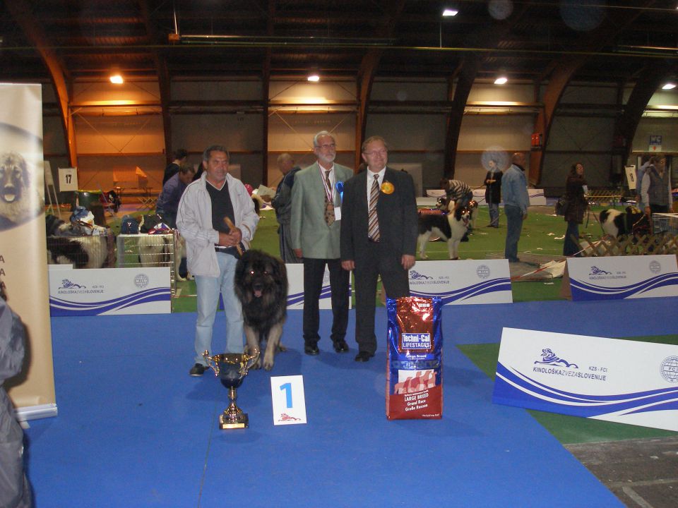 Eurodog Show 2010 Celje - foto povečava