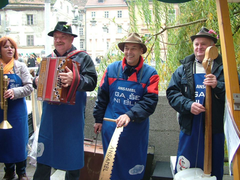 Ljubljanska vinska pot 2010 - foto povečava