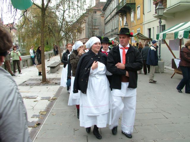 Ljubljanska vinska pot 2010 - foto