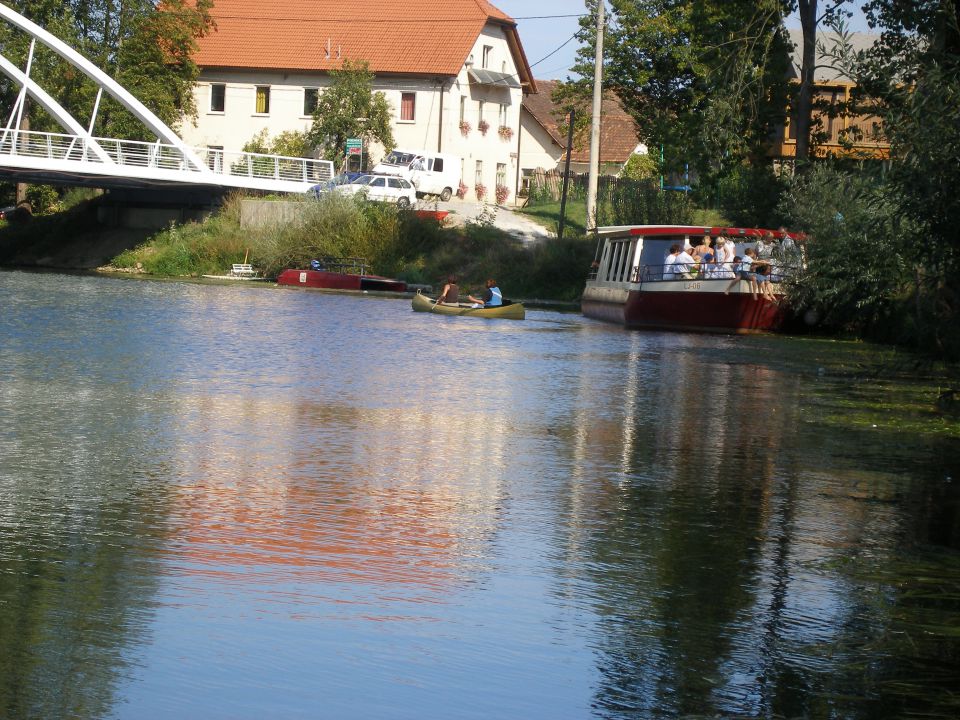 Ižanski odbojkarski piknik 2011 - foto povečava