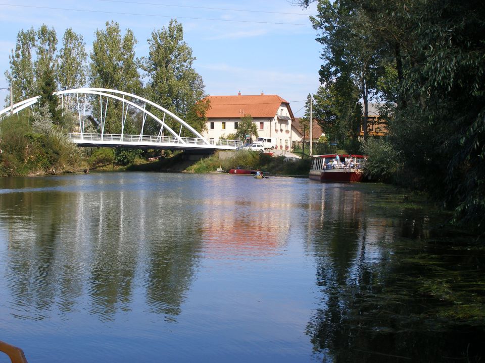 Ižanski odbojkarski piknik 2011 - foto povečava