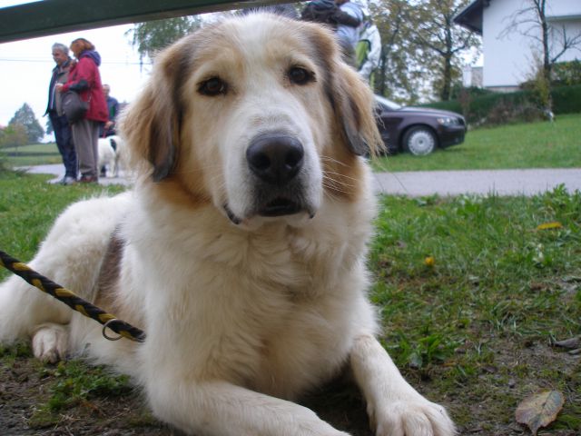 Življenje s teboj, draga Žanka - foto