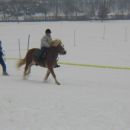 hitrostna