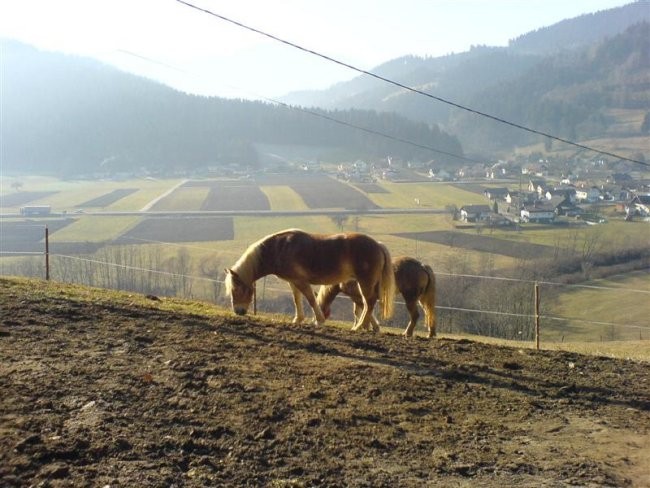 ... in v razgledu.