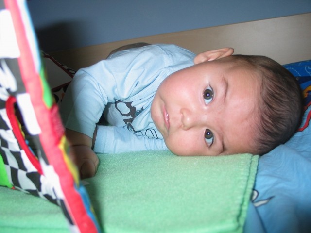 Tai - foto