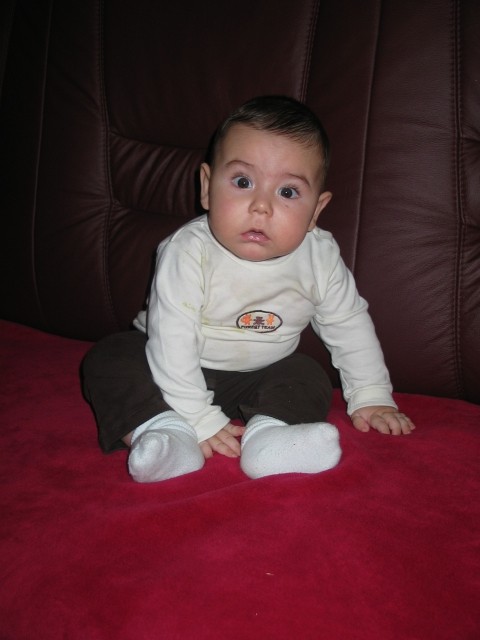 Tai - foto