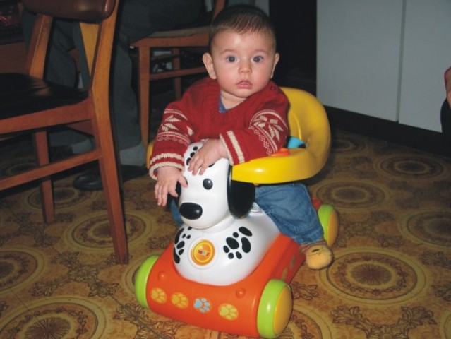 Moj prvi kuža - dalmatinec, 18.12.2005
