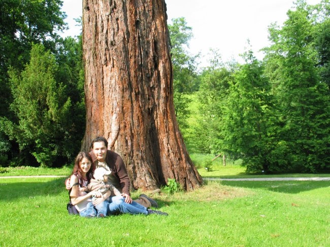 Družinska fotografija pod stoletnim drevesom. 