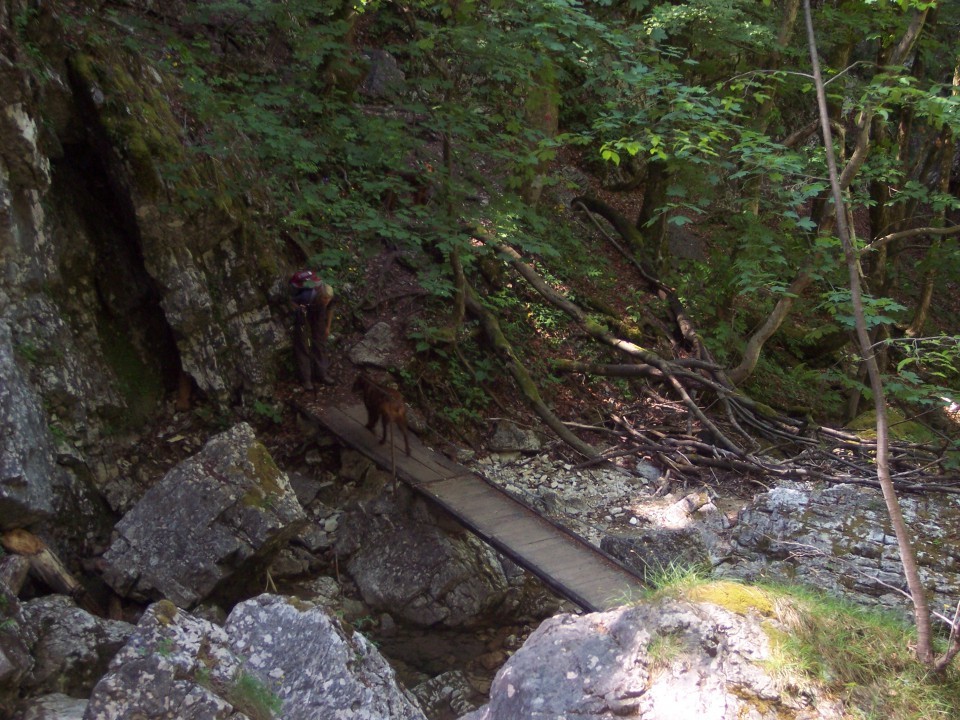 Pekel, maj - 2007 - foto povečava