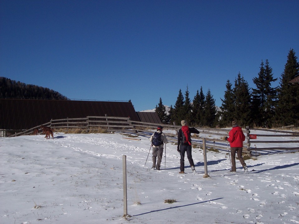 Javorniška planina