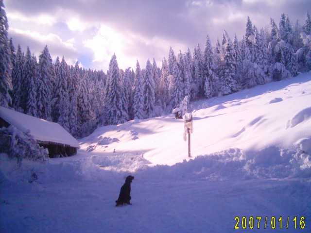 Vodiška planina