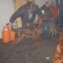 CACIB-Lj. 2006