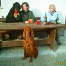 Potepanja s kužki 2006