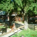 Kisovec