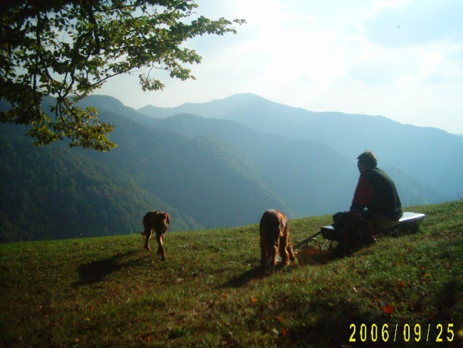 Osolnik pogled na Tošč