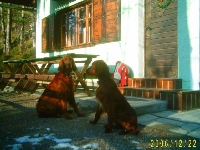Potepanja s kužki 2006 - foto