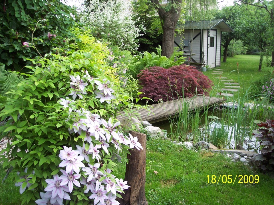 Pomlad na vrtu - foto povečava