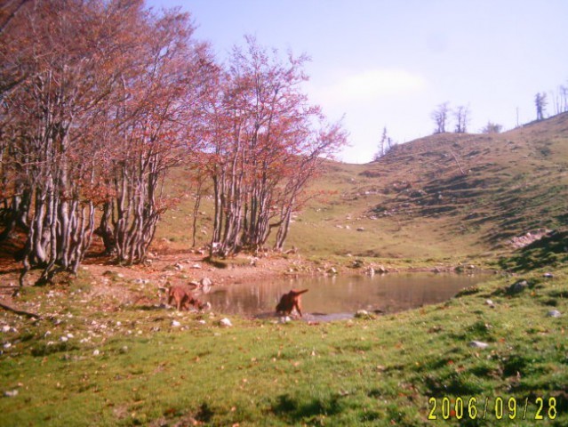 Nad Markljevo pl.