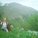 Golica - junij 2006