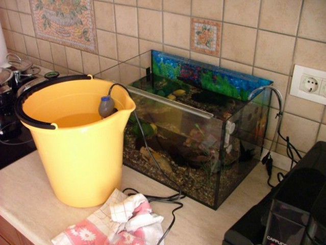 Moj prvi akvarij