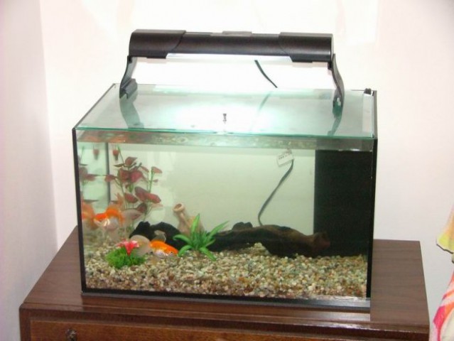 Moj nov 40L akvarij - foto