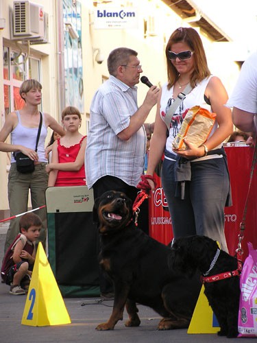 Izložba pasa bez rodovnice 25.6.2006. Zg - foto