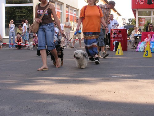 Izložba pasa bez rodovnice 25.6.2006. Zg - foto povečava