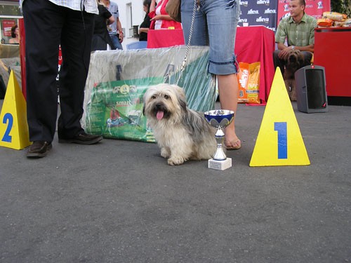 Izložba pasa bez rodovnice 25.6.2006. Zg - foto