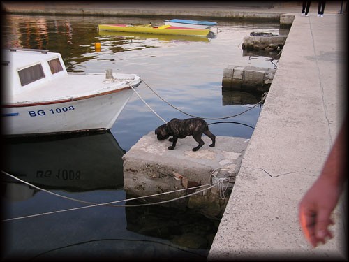 Biograd 2006 - foto povečava